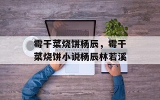 霉干菜烧饼杨辰，霉干菜烧饼小说杨辰林若溪