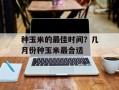 种玉米的最佳时间？几月份种玉米最合适