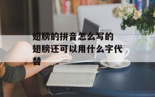 翅膀的拼音怎么写的 翅膀还可以用什么字代替