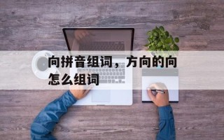向拼音组词，方向的向怎么组词