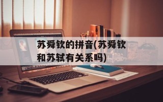 苏舜钦的拼音(苏舜钦和苏轼有关系吗)