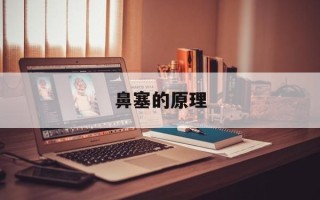 鼻塞的原理