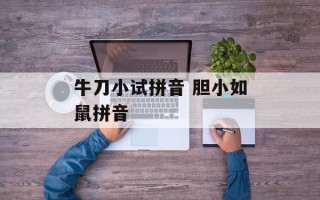 牛刀小试拼音 胆小如鼠拼音
