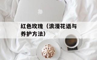 红色玫瑰（浪漫花语与养护方法）