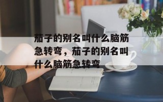 茄子的别名叫什么脑筋急转弯，茄子的别名叫什么脑筋急转弯