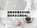 尿菌培养要多长时间(尿培养怎么取标本)