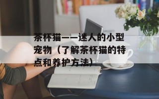 茶杯猫——迷人的小型宠物（了解茶杯猫的特点和养护方法）
