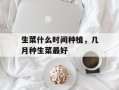生菜什么时间种植，几月种生菜最好