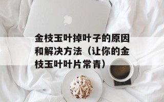 金枝玉叶掉叶子的原因和解决方法（让你的金枝玉叶叶片常青）
