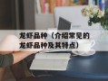龙虾品种（介绍常见的龙虾品种及其特点）