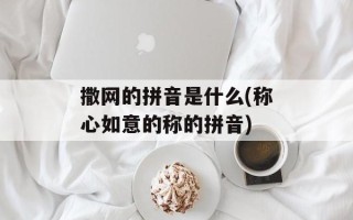 撒网的拼音是什么(称心如意的称的拼音)
