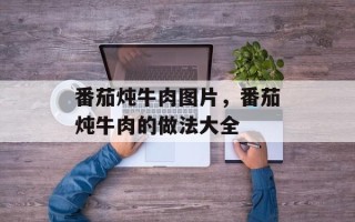 番茄炖牛肉图片，番茄炖牛肉的做法大全