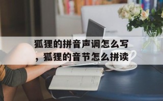 狐狸的拼音声调怎么写，狐狸的音节怎么拼读