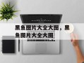 黑鱼图片大全大图，黑鱼图片大全大图