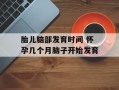 胎儿脑部发育时间 怀孕几个月脑子开始发育