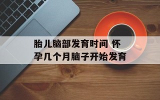 胎儿脑部发育时间 怀孕几个月脑子开始发育