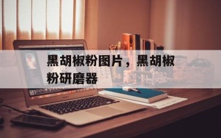 黑胡椒粉图片，黑胡椒粉研磨器