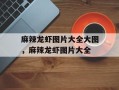 麻辣龙虾图片大全大图，麻辣龙虾图片大全