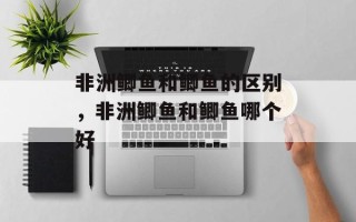 非洲鲫鱼和鲫鱼的区别，非洲鲫鱼和鲫鱼哪个好