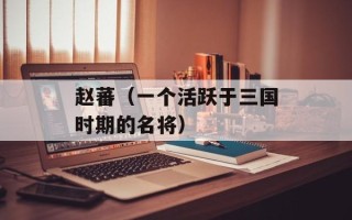 赵蕃（一个活跃于三国时期的名将）