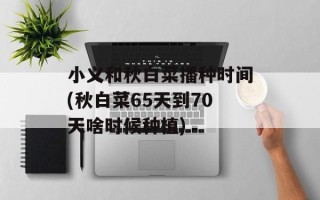 小义和秋白菜播种时间(秋白菜65天到70天啥时候种植)