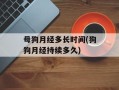 母狗月经多长时间(狗狗月经持续多久)