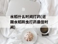 水稻什么时间打药(近期水稻防虫打药最佳时间)