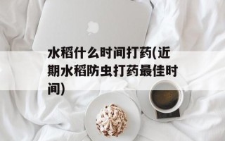 水稻什么时间打药(近期水稻防虫打药最佳时间)