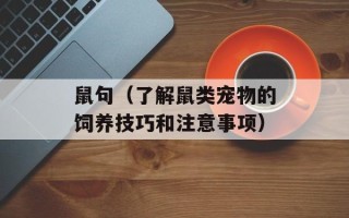 鼠句（了解鼠类宠物的饲养技巧和注意事项）