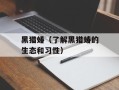 黑猎蝽（了解黑猎蝽的生态和习性）