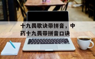 十九畏歌诀带拼音，中药十九畏带拼音口诀