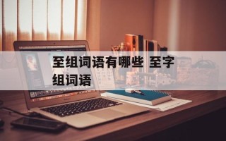 至组词语有哪些 至字组词语