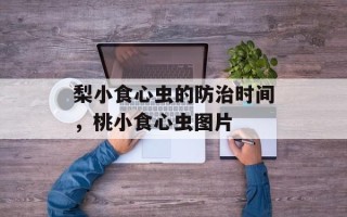 梨小食心虫的防治时间，桃小食心虫图片