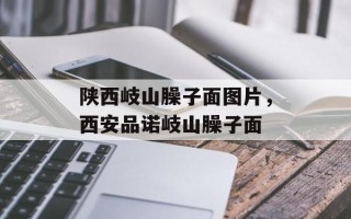 陕西岐山臊子面图片，西安品诺岐山臊子面