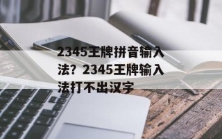 2345王牌拼音输入法？2345王牌输入法打不出汉字