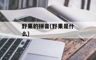 野果的拼音(野果是什么)
