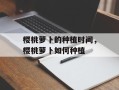 樱桃萝卜的种植时间，樱桃萝卜如何种植