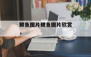 鲫鱼图片鲤鱼图片欣赏，