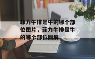 菲力牛排是牛的哪个部位图片，菲力牛排是牛的哪个部位图解