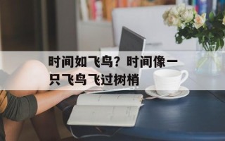 时间如飞鸟？时间像一只飞鸟飞过树梢