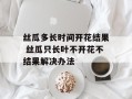 丝瓜多长时间开花结果 丝瓜只长叶不开花不结果解决办法