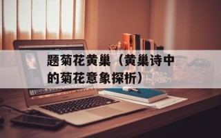 题菊花黄巢（黄巢诗中的菊花意象探析）