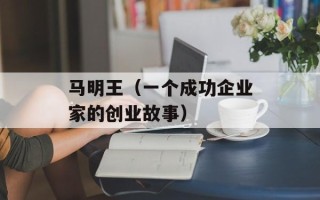 马明王（一个成功企业家的创业故事）
