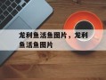 龙利鱼活鱼图片，龙利鱼活鱼图片