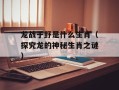 龙战于野是什么生肖（探究龙的神秘生肖之谜）