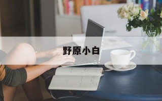 野原小白
