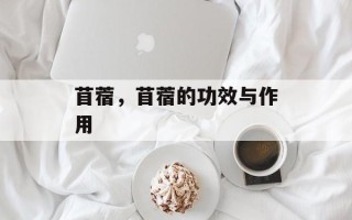 苜蓿，苜蓿的功效与作用