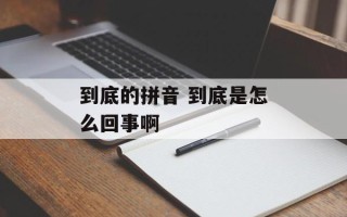 到底的拼音 到底是怎么回事啊
