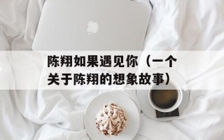 陈翔如果遇见你（一个关于陈翔的想象故事）
