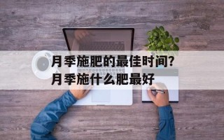 月季施肥的最佳时间？月季施什么肥最好